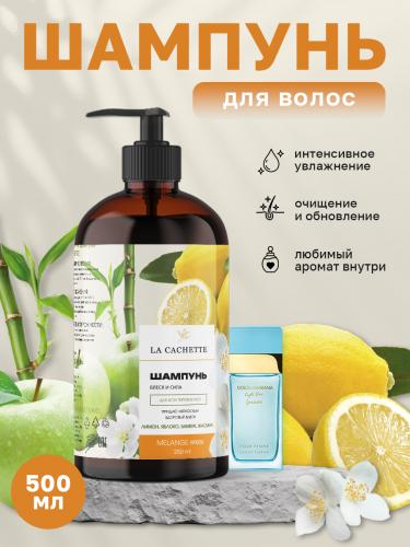 Шампунь для волос увлажняющий W006 по мотивам Light Blue, 500 мл, с дозатором