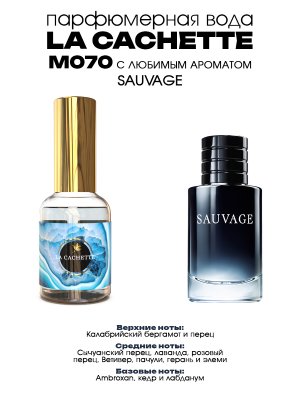 Парфюмерная вода M070 по мотивам Sauvage, 30 мл (Мужской аромат)