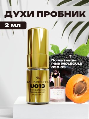 Пробник парфюмерной воды U013 по мотивам Pink Molecule 090.09, 2 мл (Унисекс аромат)