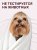 Крем для рук гиалуроновый W015 Chance eau Tendre, 250мл
